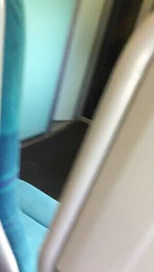 Tits on a Train