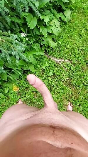 This is my forest