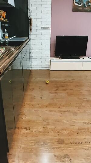 I wonder how many men would actually breed me if they got the chance