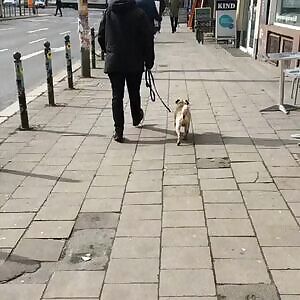 Doggy is the best, Ass jiggles like crazy💖💦