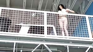 Veronica's Seduction - Veronica Avluv