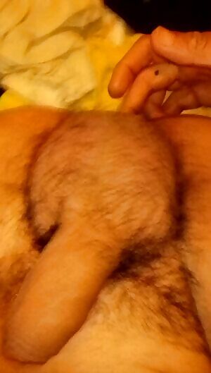 Fingering my pootchie and displaying my lovely cock