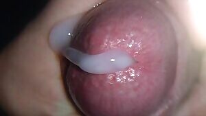 Closeup