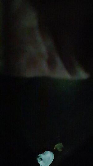 Little Night Road Flash