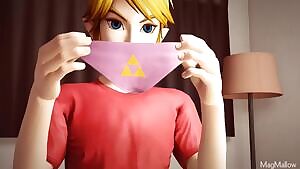 Link&Linkle Fun