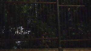 Center of the city. I think no one saw. Did you?