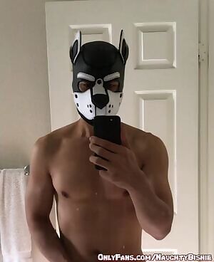Would you adopt this pup?