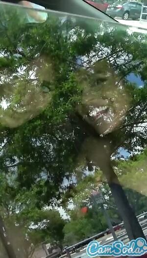 Best kind of sighting