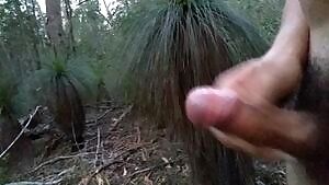 Fertilising the grass trees 🌿