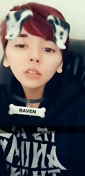Just a silly bork..