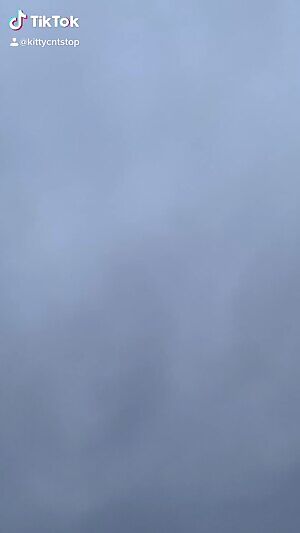 DLC Harley Quinn kitty